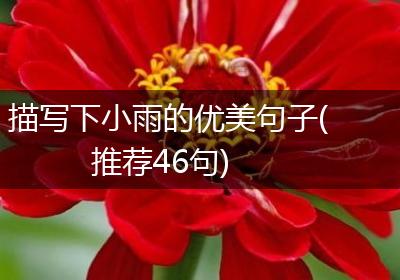 描写下小雨的优美句子(推荐46句)