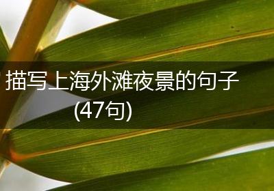 描写上海外滩夜景的句子(47句)