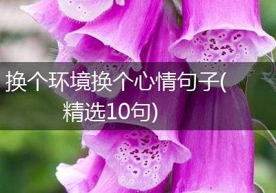 换个环境换个心情句子(精选10句)