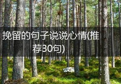 挽留的句子说说心情(推荐30句)