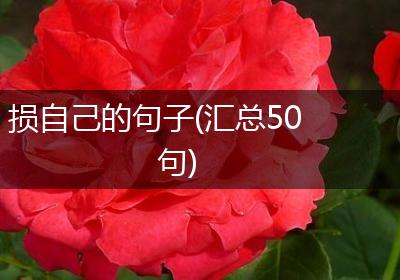 损自己的句子(汇总50句)