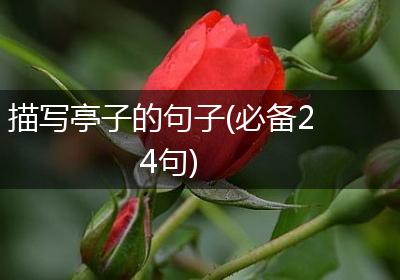 描写亭子的句子(必备24句)