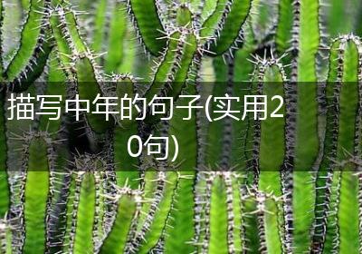 描写中年的句子(实用20句)