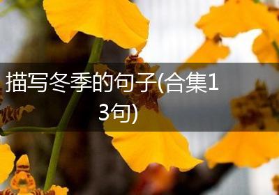 描写冬季的句子(合集13句)