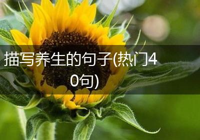 描写养生的句子(热门40句)
