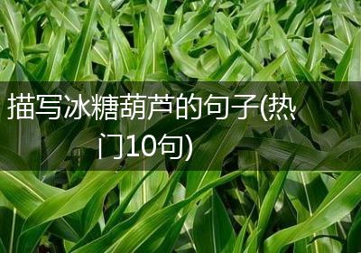 描写冰糖葫芦的句子(热门10句)