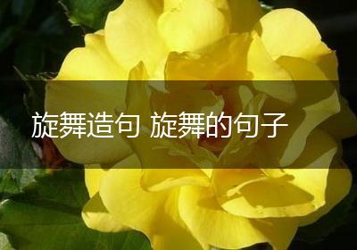 旋舞造句 旋舞的句子