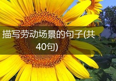 描写劳动场景的句子(共40句)