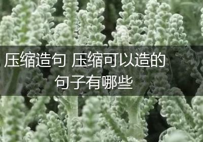 压缩造句 压缩可以造的句子有哪些