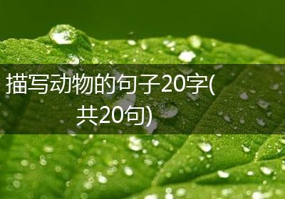 描写动物的句子20字(共20句)