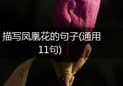 描写凤凰花的句子(通用11句)