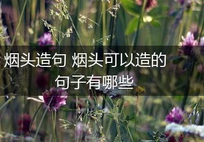 烟头造句 烟头可以造的句子有哪些