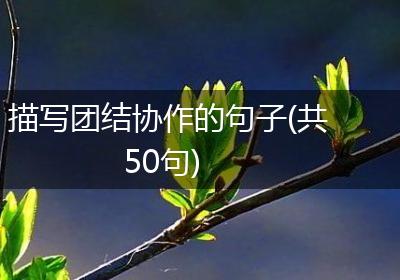 描写团结协作的句子(共50句)