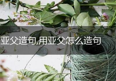 亚父造句,用亚父怎么造句