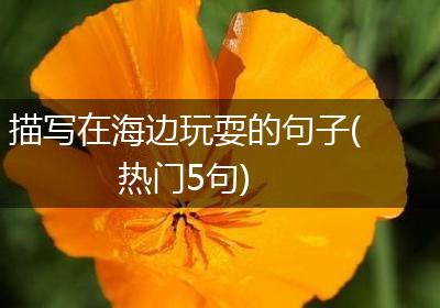 描写在海边玩耍的句子(热门5句)