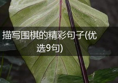 描写围棋的精彩句子(优选9句)