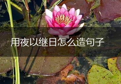 用夜以继日怎么造句子
