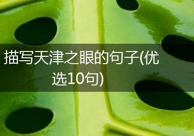 描写天津之眼的句子(优选10句)