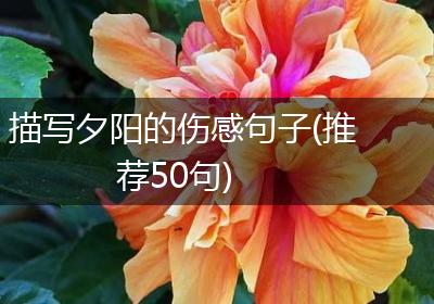 描写夕阳的伤感句子(推荐50句)