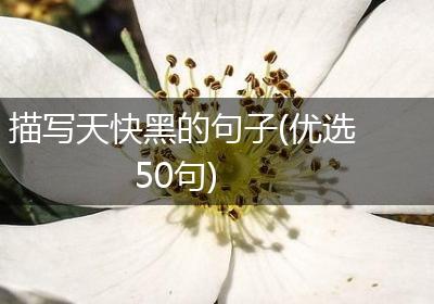 描写天快黑的句子(优选50句)