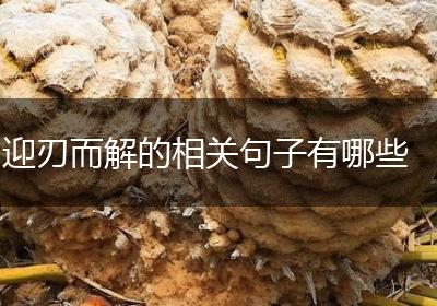 迎刃而解的相关句子有哪些