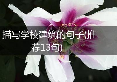 描写学校建筑的句子(推荐13句)