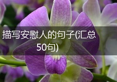 描写安慰人的句子(汇总50句)