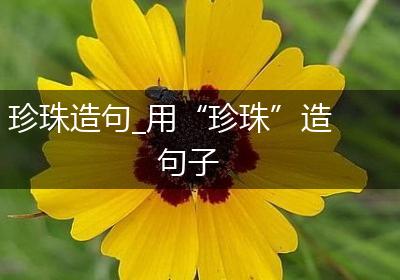 珍珠造句_用“珍珠”造句子