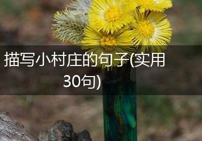 描写小村庄的句子(实用30句)