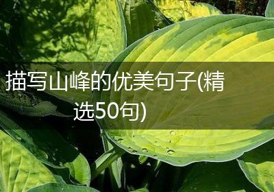 描写山峰的优美句子(精选50句)
