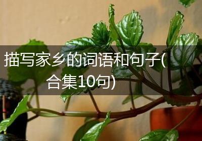 描写家乡的词语和句子(合集10句)
