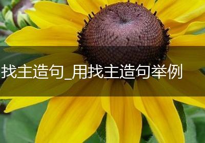 找主造句_用找主造句举例