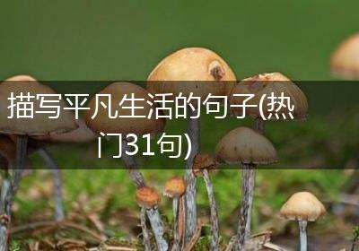 描写平凡生活的句子(热门31句)