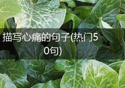 描写心痛的句子(热门50句)