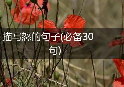 描写怒的句子(必备30句)