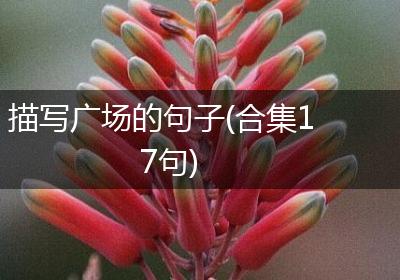 描写广场的句子(合集17句)