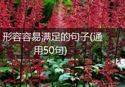 形容容易满足的句子(通用50句)