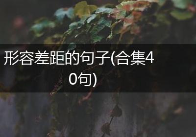 形容差距的句子(合集40句)