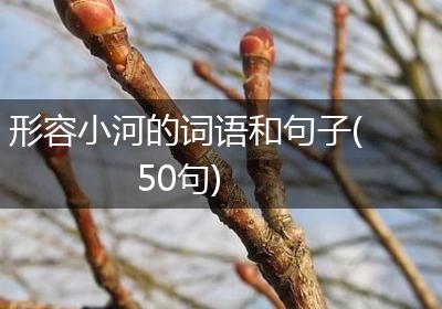 形容小河的词语和句子(50句)