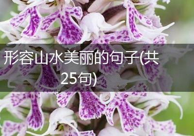 形容山水美丽的句子(共25句)