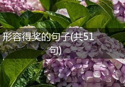 形容得奖的句子(共51句)