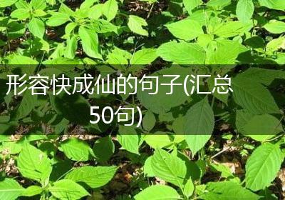 形容快成仙的句子(汇总50句)