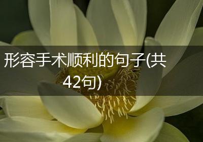 形容手术顺利的句子(共42句)