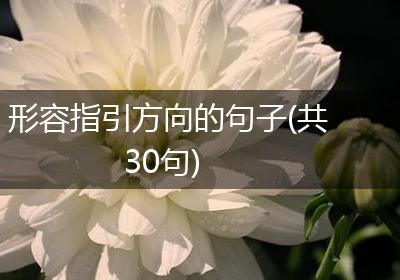 形容指引方向的句子(共30句)