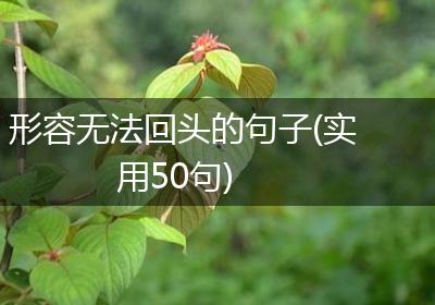 形容无法回头的句子(实用50句)