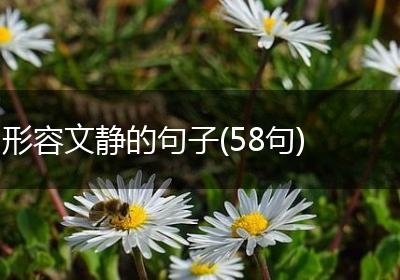 形容文静的句子(58句)