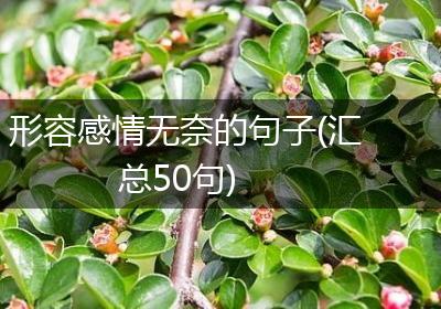 形容感情无奈的句子(汇总50句)