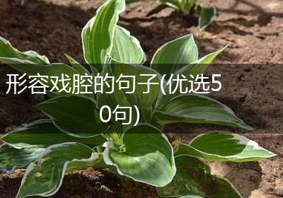 形容戏腔的句子(优选50句)