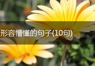 形容懵懂的句子(10句)