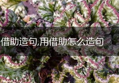 借助造句,用借助怎么造句